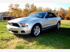 Thumbnail Photo 0 for 2010 Ford Mustang